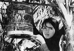 Truyền thống