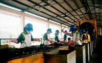 Chương trình đột phá về giảm thiểu ô nhiễm môi trường