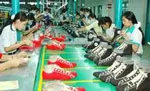 Đào tạo kỹ năng thiết kế và nâng cao chuyên ngành da giầy