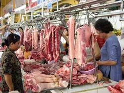 Từ nay đến cuối năm 2011, nhu cầu cần nhập khẩu hơn 100.000 tấn thịt các loại