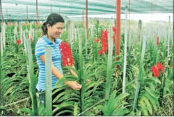 34 xã tham quan mô hình nông thôn mới