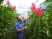 Xây dựng nông thôn mới và những vấn đề đặt ra:  Quy hoạch - Mấu chốt để xây dựng nông thôn mới 