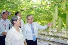 Xây dựng nông thôn mới và những vấn đề đặt ra: Bài 2 - Phải đạt được tiêu chí tăng thu nhập