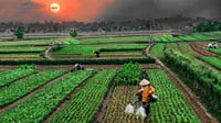 Xây dựng nông thôn mới và những vấn đề đặt ra - Bài 3: Bức tranh nông thôn nhiều gam màu