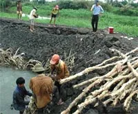 Thủ Đức đẩy mạnh triển khai các công trình chống ngập