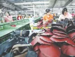 Ông Hà Duy Hưng được bầu làm chủ tịch Hội da giầy TPHCM