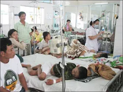 Vấn đề hôm nay: Dịch tay chân miệng - Đã đến lúc nên công bố