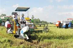 Bài 2: Để nông dân an tâm trồng lúa - cần nhân rộng mô hình cánh đồng mẫu lớn