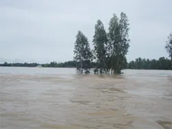 ĐBSCL chủ động đối phó với tình hình lũ diễn biến phức tạp