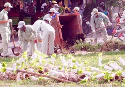 Vì một thành phố không rác