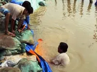 Lũ ĐBSCL nhiều nơi sẽ vượt báo động 3