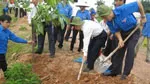 Tuổi trẻ TPHCM chung tay xây dựng nông thôn mới