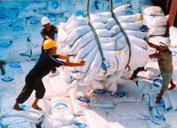 2 tháng cuối năm dự kiến xuất khẩu 700.000 tấn gạo