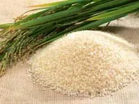 Nâng cao vị thế lúa gạo nước nhà - cần phải định vị thương hiệu lúa gạo Việt Nam