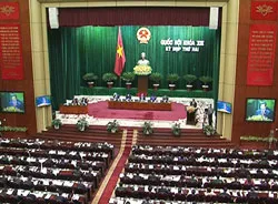 Dự thảo Luật xử lý vi phạm hành chính - Chỉ phạt tiền cao chưa đủ?