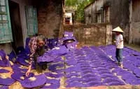 Nên tách bạch giữa làng nghề và cụm công nghiệp