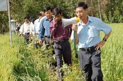 Long An tổng kết Mô hình cùng nông dân ra đồng