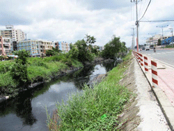 Xây cống Vàm Thuật và Rạch Nước Lên cùng một lúc