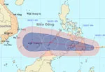 Bão số 8 ảnh hưởng Trường Sa, Côn Đảo