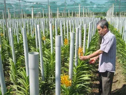 Xã Tân Thông Hội - Nhìn lại hơn 2 năm xây dựng mô hình điểm về nông thôn mới