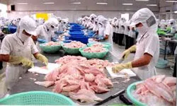 Bình luận: Thắng lợi kép