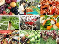 Đối thoại với CQTP: Thông tin rộng rãi cho ngườu tiêu dùng những hành vi vi phạm vệ sinh an toàn thực phẩm