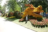 Sẵn sàng cho Hội hoa xuân và Chợ hoa tết Nhâm Thìn 2012