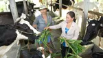 Ngoại thành TPHCM đi lên từ chương trình xây dựng nông thôn mới