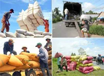 Những mặt hàng nông sản làm nên thế mạnh