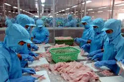 Xuất khẩu thủy sản đạt 6 tỷ USD