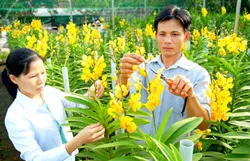 Xây dựng nông thôn mới: Tư duy mới - cuộc sống mới