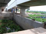 Hiệu quả của các cống kiểm soát triều