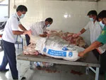 Xử phạt hơn 300 triệu đồng vi phạm trong vận chuyển, giết mổ động vật không rõ nguồn gốc