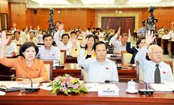 Kỳ họp thứ 4, Hội đồng Nhân dân thành phố khóa 8 - chuyên đề An toàn giao thông
