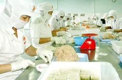 Công ty Vissan: Học tập Bác Hồ gắn liền với cải tiến kỹ thuật và đẩy mạnh sản xuất kinh doanh