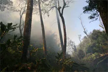 Vụ cháy rừng Vườn quốc gia Hoàng Liên: Có dấu hiệu lan rộng