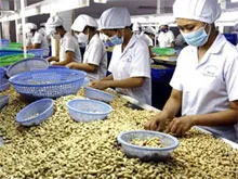 Giải pháp tín dụng xuất khẩu Điều năm 2012