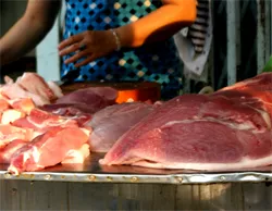 Kiểm soát chất cấm sử dụng trong chăn nuôi - phải làm ngay từ gốc