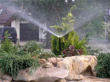 Hội thảo “Đánh giá thực trạng và đề xuất giải pháp thúc đẩy hoạt động sáng kiến, sáng chế của nhà nông”