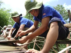 Những dấu chân tình nguyện