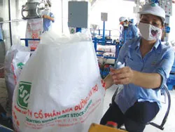 Các doanh nghiệp đường trong nước phải đặt lợi ích chung lên trên