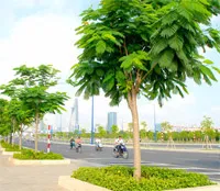 Hội thảo chia sẻ kinh nghiệm quốc tế về giao thông công cộng