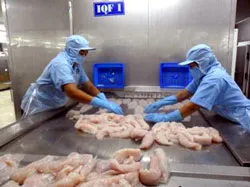 Những lưu ý khi xuất hàng sang thị trường Châu Âu