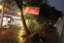 Những thiệt hại bước đầu và kinh nghiệm từ phòng chống ứng phó với bão số 1