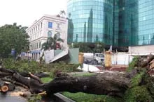 Tình hình khắc phục hậu quả do bão số 1 gây ra và những hỗ trợ cho bà con bị thiệt hại