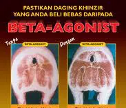 Nói không và tăng cường quản lý với chất cấm Bêta Agonists trong chăn nuôi