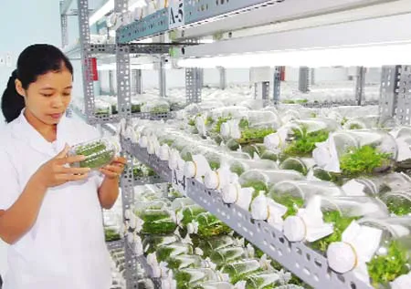 Khu Nông nghiệp Công nghệ cao TP.HCM hoạt động theo hướng nông nghiệp đô thị chất lượng cao