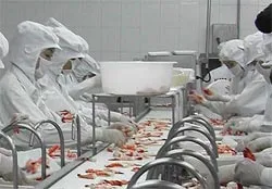 Tìm giải pháp thị trường cho doanh nghiệp