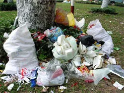 Không để rác nhầm vị trí