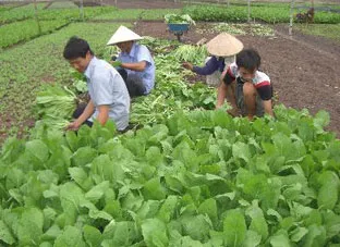 Xuân Thời Thượng đạt 16/19 tiêu chí nông thôn mới
